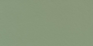 Serenissima Cir Chromagic Green Guru 60x120