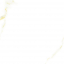 Laparet Porcelanico Golden White Statuario 60x60