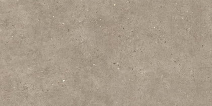 Impronta Italgraniti Silver Grain Taupe 60x120