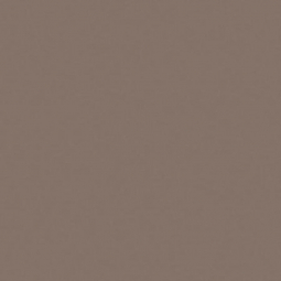 Casalgrande Padana Unicolore Grigio Cenere 20x20