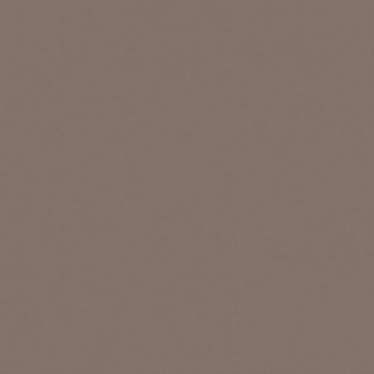 Casalgrande Padana Unicolore Grigio Cenere 20x20