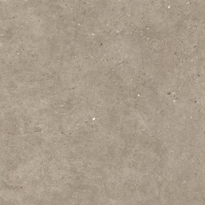 Impronta Italgraniti Silver Grain Taupe 80x80