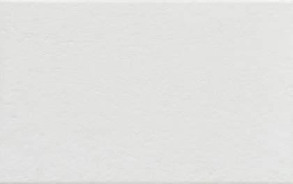 Saloni Albar Blanco Mate 25x40