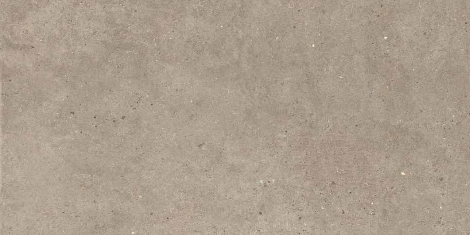 Impronta Italgraniti Silver Grain Taupe Antislip 60x120