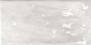 Tonalite Nature Ash 10x20