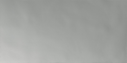 Graniti Fiandre Musa Plus Pearl Honed 60x120