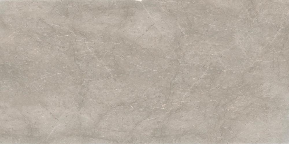 Cerdomus Mexicana Silver Levigato 60x120