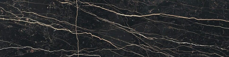 Rex Prexious Thunder Night Glossy 60x240