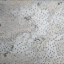 Brennero Mineral Decor Stars Silver 30x60