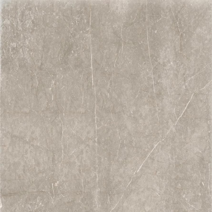 Cerdomus Mexicana Silver Levigato 60x60