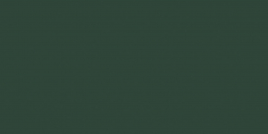 Cerim Crayons Moss 60x120