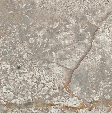 Atlas Concorde Russia Empire Silver Root Bottone 7.2x7.2