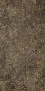 Versace Palace Gold Nero 39.4x78.9