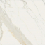 Fioranese Marmorea Bianco Calacatta Levigato Rettificato 15x15