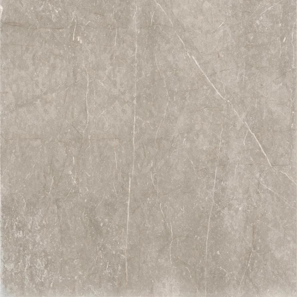 Cerdomus Mexicana Silver Satinado 60x60