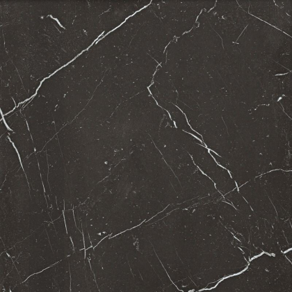 Serenissima Cir Magistra Marquinia LR 100x100