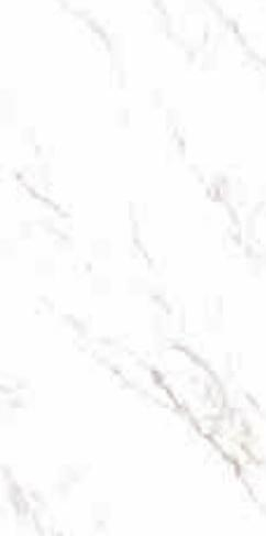 Casalgrande Padana Marmoker Statuario Grigio D Honed 118x236