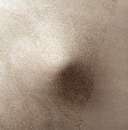 Apavisa Evolution Beige Natural Bump 59.4x59.4