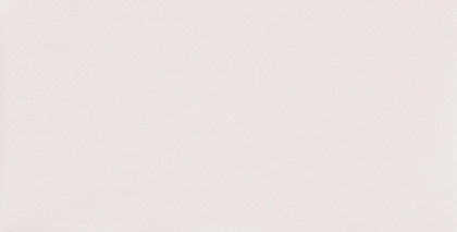 Arte Perlina White 30.8x60.8