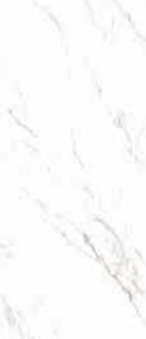 Casalgrande Padana Marmoker Statuario Grigio D Honed 118x278