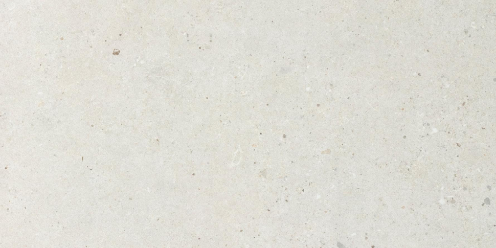 Impronta Italgraniti Silver Grain White 60x120