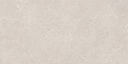 Emil Ceramica Mapierre Noble Gris 60x120