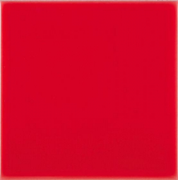 Adex Riviera Liso Monaco Red 10x10