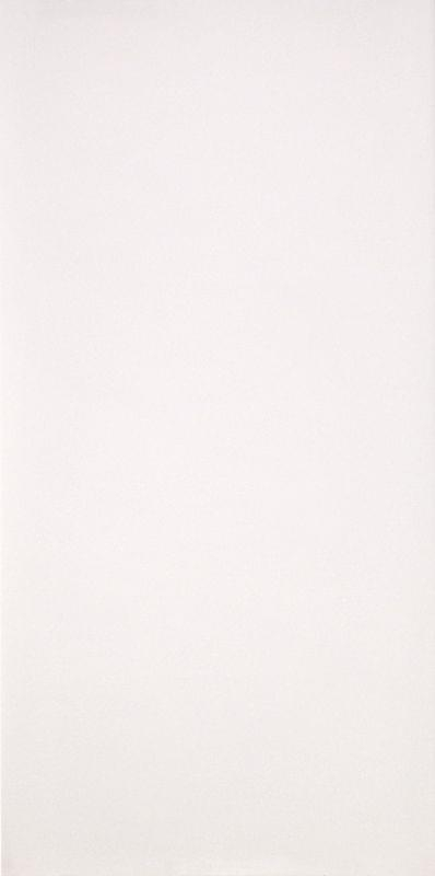 Casalgrande Padana Marmoker Canova Lucido 6.5 Mm 59x118