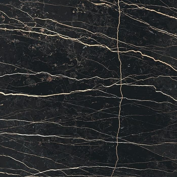 Rex Prexious Thunder Night Matte 160x160