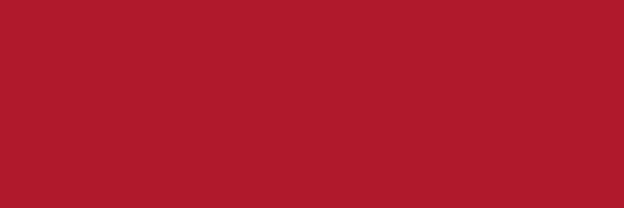 VitrA Color Ral 0304050 Red Matt 10x30