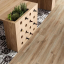 Sant Agostino Barkwood Ash 30x180
