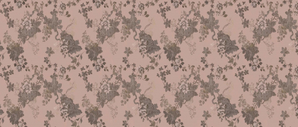 Rex I Filati Lady Hamilton Cipria 6 mm 120x280