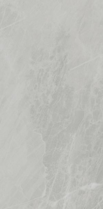 Ariostea Marmi Classici Gris De Savoi Soft 60x120