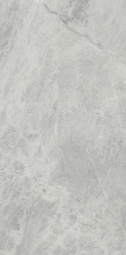 Ariostea Marmi Classici Gris De Savoie Luc Shiny 60x120