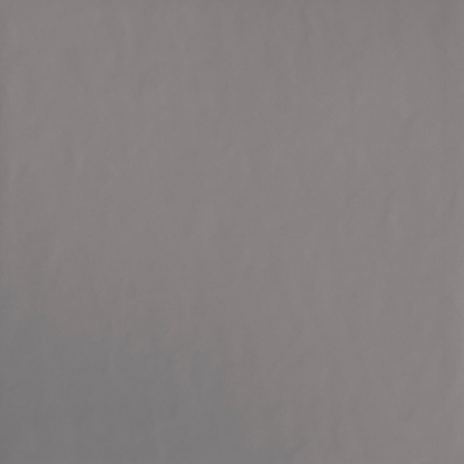 Graniti Fiandre Musa Plus Shadow Honed 100x100