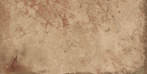 Tagina Il Cotto Natural 30x60