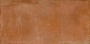 Sant Agostino I Chiostri Ambra 15x30