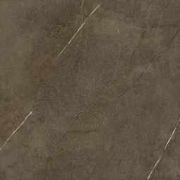 Porcelanosa Assuan Brown 59.6x59.6