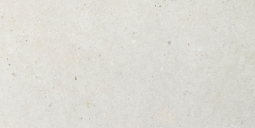 Impronta Italgraniti Silver Grain White Area Plus 60x120