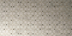 Mirage Miroir Expo 120x278