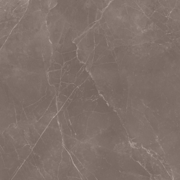 Love Ceramic Tiles Marble Tortora Polished 59.2x59.2