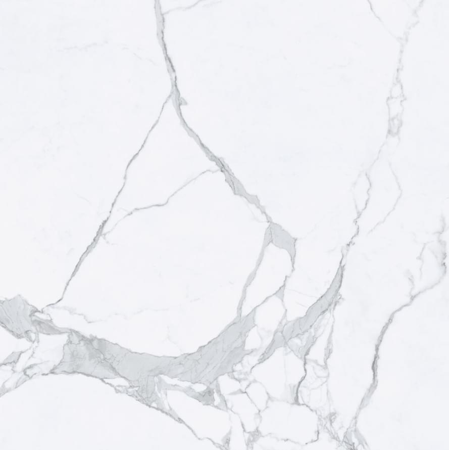 Tagina Statuario Nat Ret 60x60