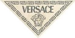 Versace Firma Triangolo Silver Pvd 9.5x4.8