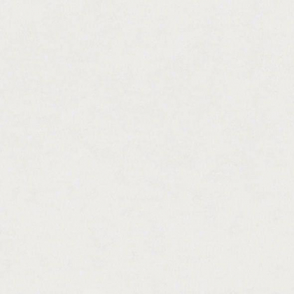 Graniti Fiandre Marmi Maximum Taxos Lucidato 150x150