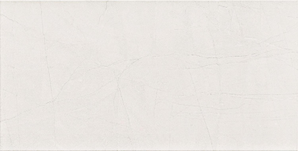 Arte Idylla White 30.8x60.8