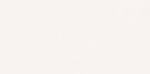 Casalgrande Padana Unicolore Bianco Assoluto Antibacterial 10 Mm 30x60