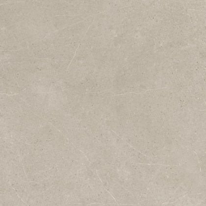 Ricchetti Ease Greige Nt 120x120