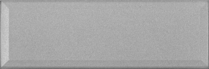 Absolut Keramika Monocolor Biselado Decor Glass Silver 10x30