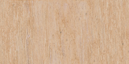 Casalgrande Padana Amazzonia Eldorado Grip 45x90