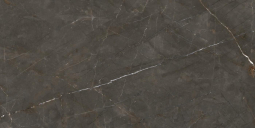 Ariostea Marmi Classici Pulpis Grey Soft 60x120